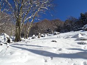 29 E siamo alla radura del Baitel del Gusti